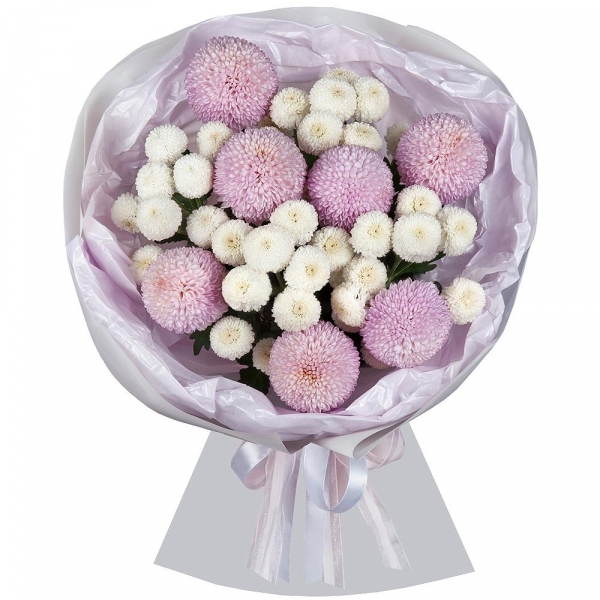 Momoko Chrysanthemum - 9, Newton White Spray Chrysanthemum - 5, Wrapping Paper