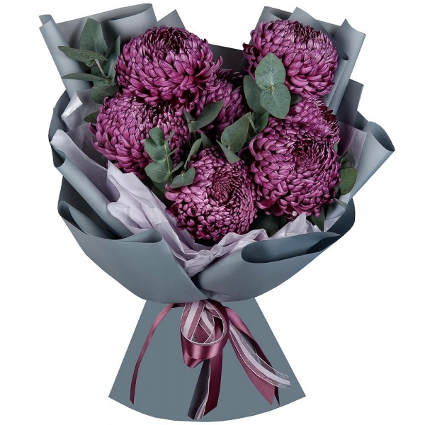 Chrysanthemum Bigoudi purple - 11, Eucalyptus, Wrapping Paper