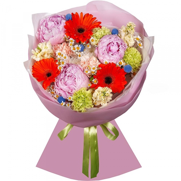 Gerbera daisies - 3, Peony pink - 3, Green carnation - 3, Baltica White Spray Chrysanthemum - 1, Chamomile - 2, White Matthiola - 3, Carnation white, cream - 2, Craspedia, Wrapping Paper