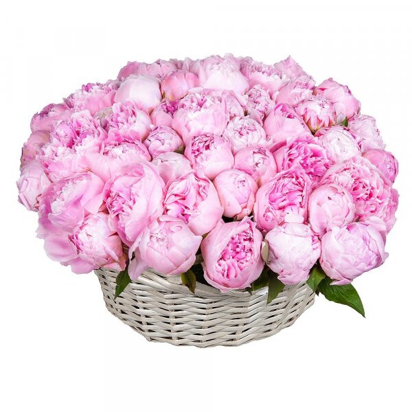 Peony pink - 83, Medium Basket, Oasis