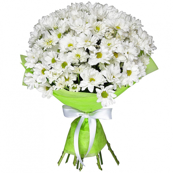 Bacardi White Spray Chrysanthemum - 7, Felt, Ribbon
