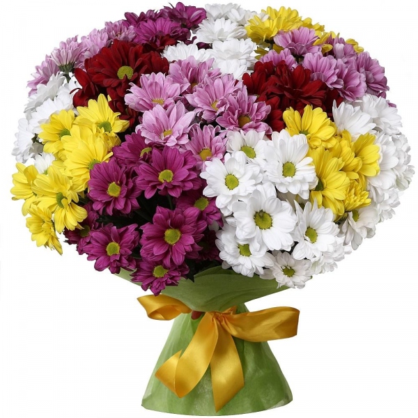Bacardi White Spray Chrysanthemum - 5, Bacardi Yellow Spray Chrysanthemum - 3, Bacardi Red Spray Chrysanthemum - 2, Bacardi Pink Spray Chrysanthemum - 5, Felt, Ribbon