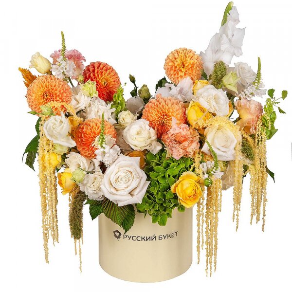 Orange Dahlia - 5, Green Hydrangea - 1, lisianthus - 4, White Gladiolus - 1, Spray rose: yellow, orange 50 cm - 4, White rose 50 cm Ecuador - 9, Round flower box medium, Oasis, Veronica spray, Astilbe, Amaranth stabilized,  Raspberry branch