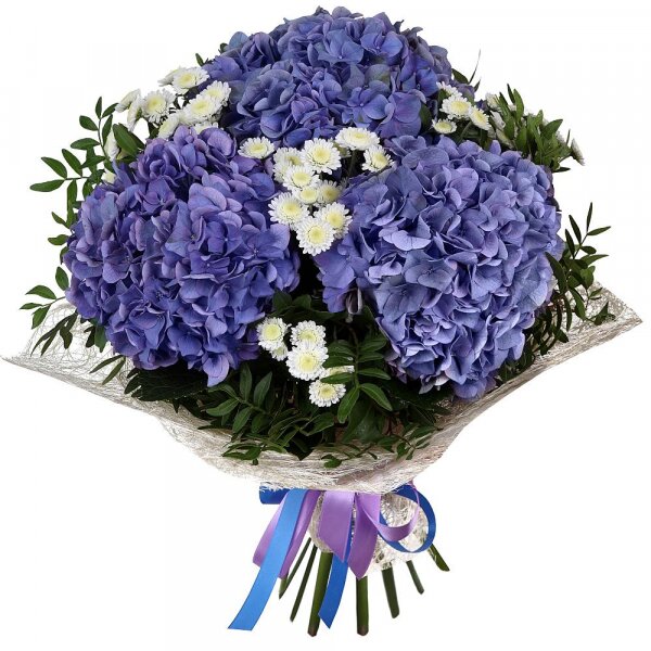 Blue/purple hydrangea - 4, Athos poms Stallion - 4, Pistachio, Sisal, Ribbon