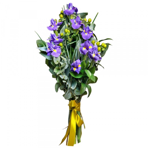 Irises - 12, Hypericum, Eucalyptus parvifolia (1 pc.), Ruscus, Ribbon