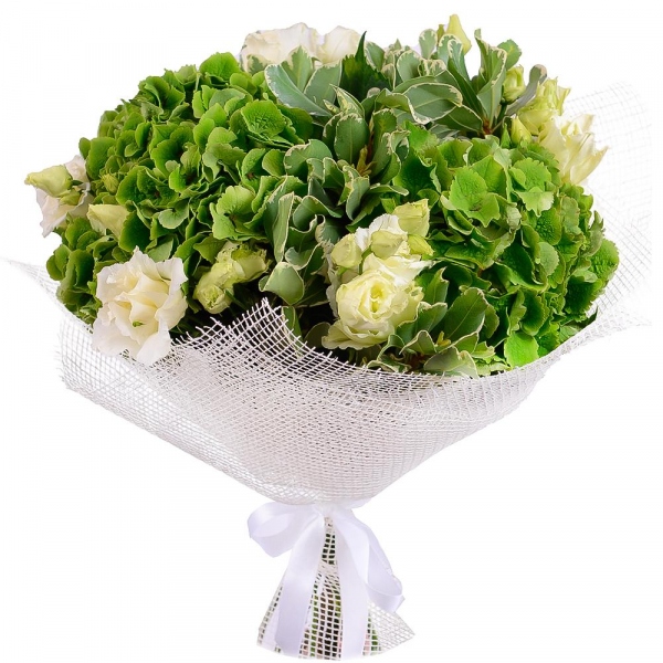 Green Hydrangea - 3, lisianthus - 5, Pittosporum, Jute 1 meter, Ribbon