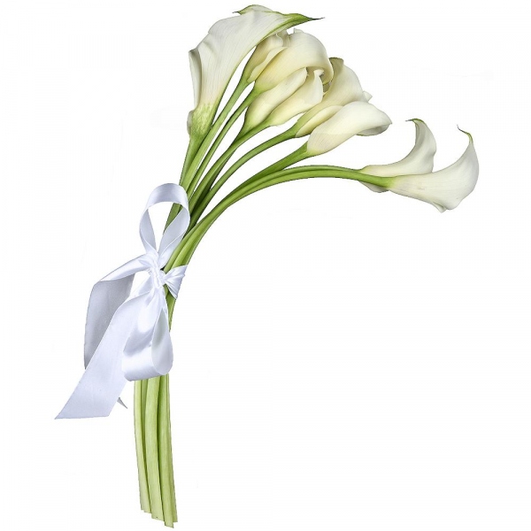 Calla lilies - 17, Ribbon