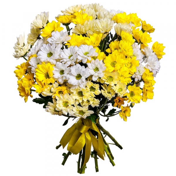 Bacardi White Spray Chrysanthemum - 4, Bacardi Yellow Spray Chrysanthemum - 9, Ribbon