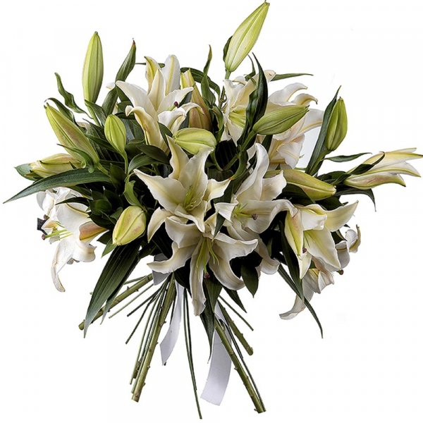 Lilies - 5, Ribbon