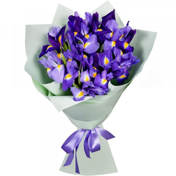 Irises - 15, Wrapping Paper, Ribbon