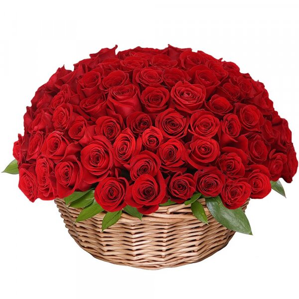 Red rose 50 cm - 131, Large Basket, Oasis