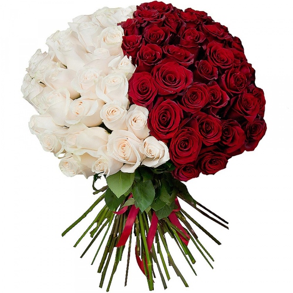 Red rose 50 cm - 65, White rose 50 cm - 66, Wrapping Paper
