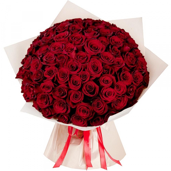 Rose Red 50 cm Ecuador - 131, Wrapping Paper