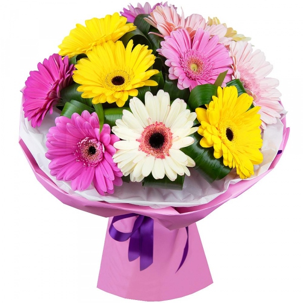 Gerbera white - 4, Gerbera yellow - 4, Gerbera pink - 7, Aspidistra (1 pc.), Wrapping Paper, Ribbon