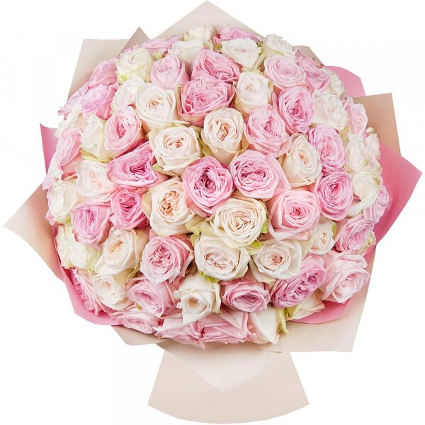Peony style roses - 133, Wrapping Paper, Ribbon