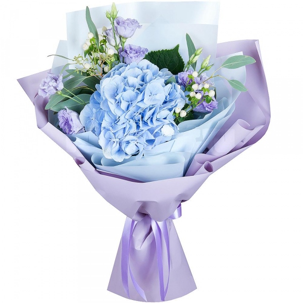 Blue/purple hydrangea - 1, Purple Lisianthus (Eustoma) - 2, Hypericum, Wrapping Paper, Eucalyptus populus (1 pc.)
