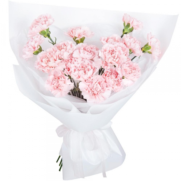 Pink carnation - 25, Wrapping Paper, Ribbon