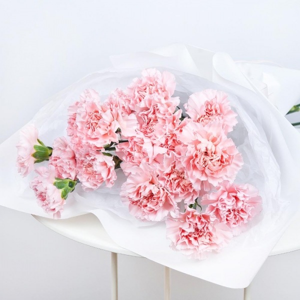 Pink carnation - 25, Wrapping Paper, Ribbon