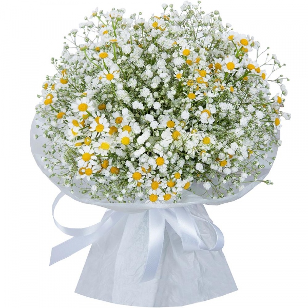Gypsophila - 6, Chamomile - 6, Ribbon, Wrapping Paper