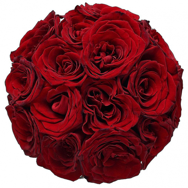 Red rose 50 cm - 15, Ribbon