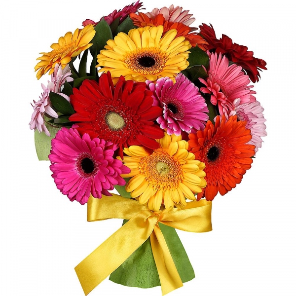 Gerbera - 15, Wrapping Paper, Ruscus