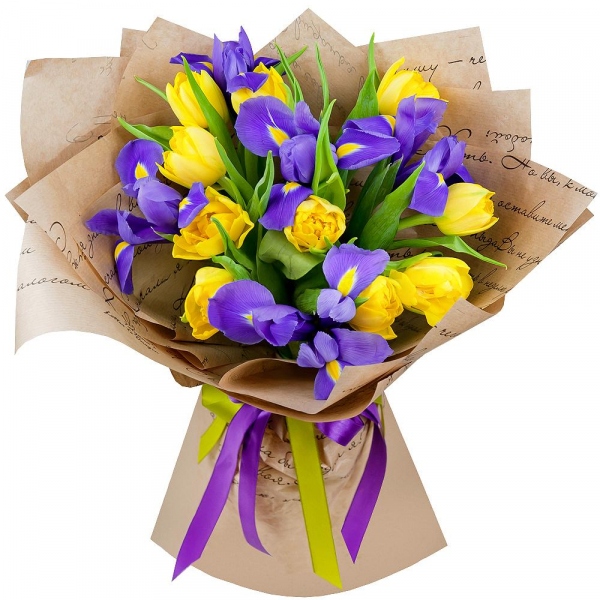 Irises - 10, Yellow tulip - 15, Wrapping Paper, Ribbon