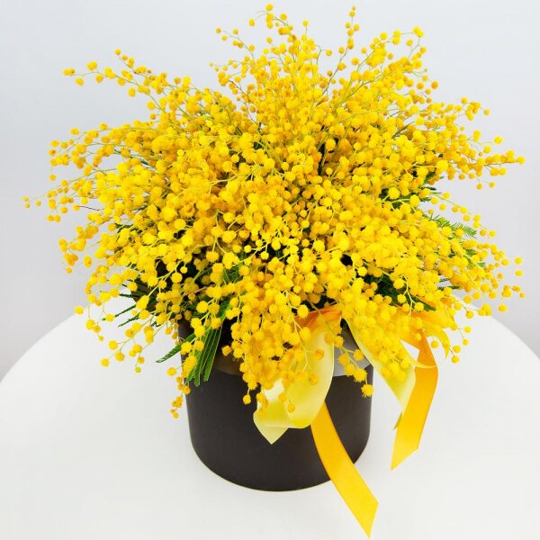 Mimosa - 8, Round flower box small , Oasis, Ribbon