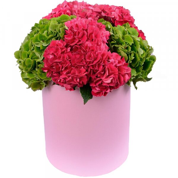 Pink Hydrangea - 5, Green Hydrangea - 4, Round flower box medium, Oasis, Film