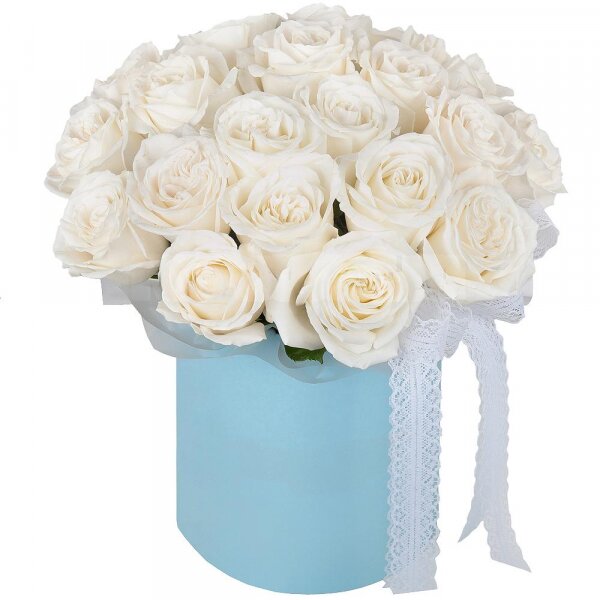 White rose 50 cm - 33, Round flower box small , Oasis, Wrapping Paper