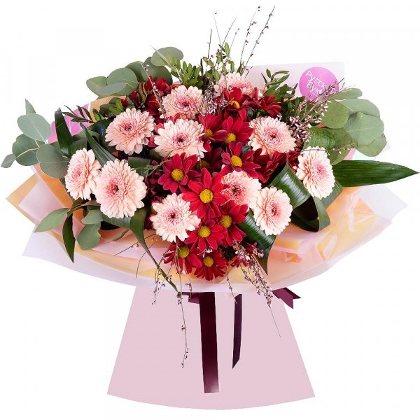 Gerbera pink - 11, Bacardi Red Spray Chrysanthemum - 4, Aspidistra (1 pc.), Eucalyptus Cinerea, Pistachio, Genista, Wrapping Paper, Ribbon