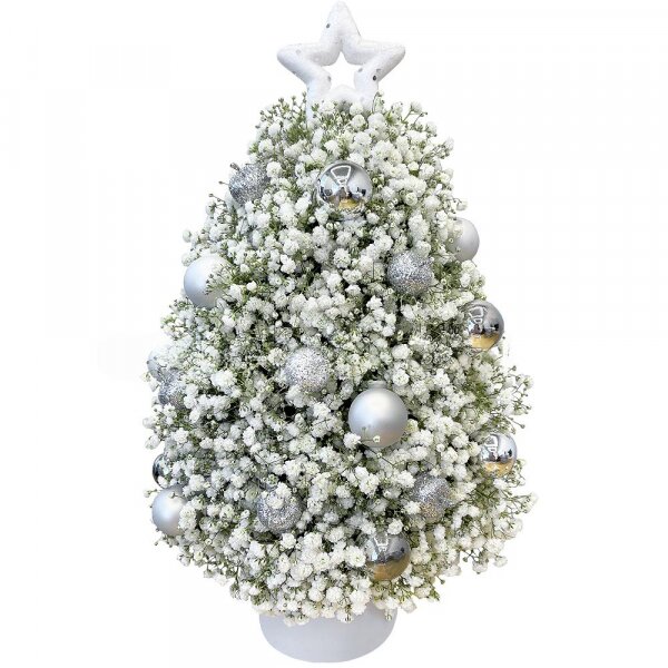 Gypsophila - 9, Christmas decor (set), Oasis, Plastic planter