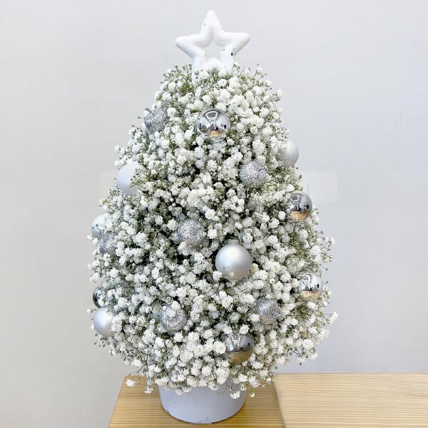 Gypsophila - 9, Christmas decor (set), Oasis, Plastic planter