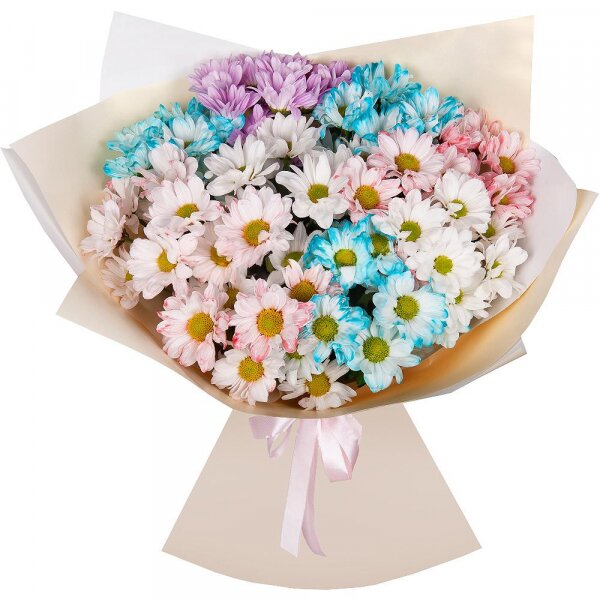 Bacardi White Spray Chrysanthemum - 3, Chrysanthemum spray Bacardi dyed blue - 3, Bacardi Pink Spray Chrysanthemum - 3, Wrapping Paper