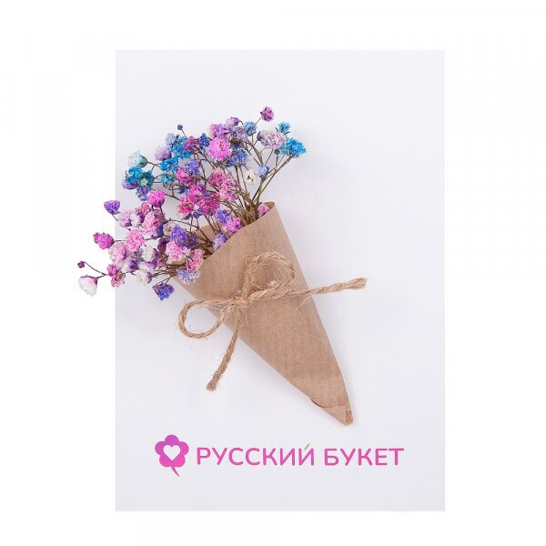 Гипсофила цветная - 0.1, Открытка