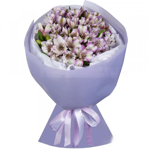 Alstromeria lilac, purple - 11, Wrapping Paper