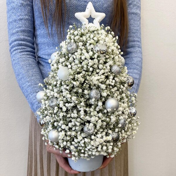 Gypsophila - 9, Christmas decor (set), Oasis, Plastic planter